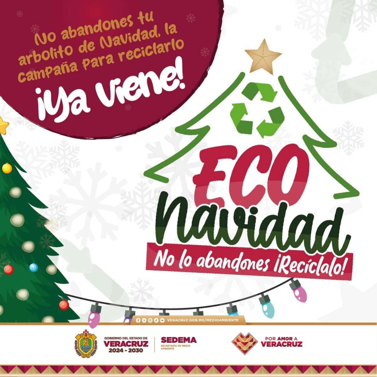 Veracruz promueve el reciclaje con la campaña Eco Navidad: ¡participa y cuida el ambiente!