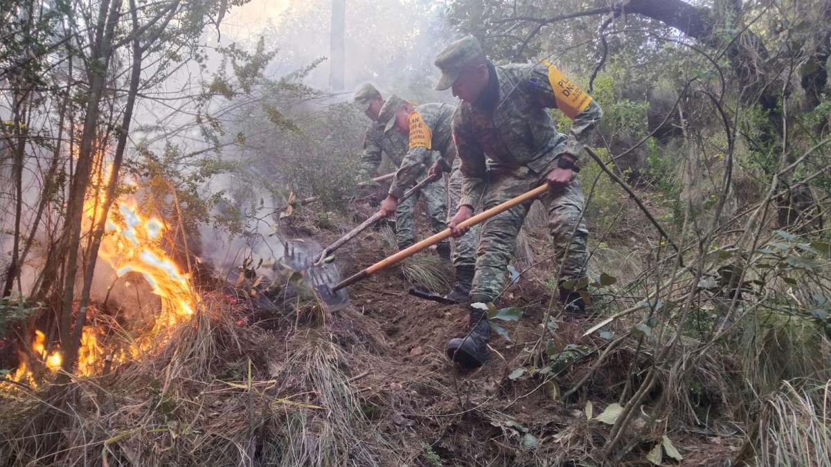 Ejército Mexicano aplica el Plan DN-III-E, en incendio forestal en Ejido Villa de Perote