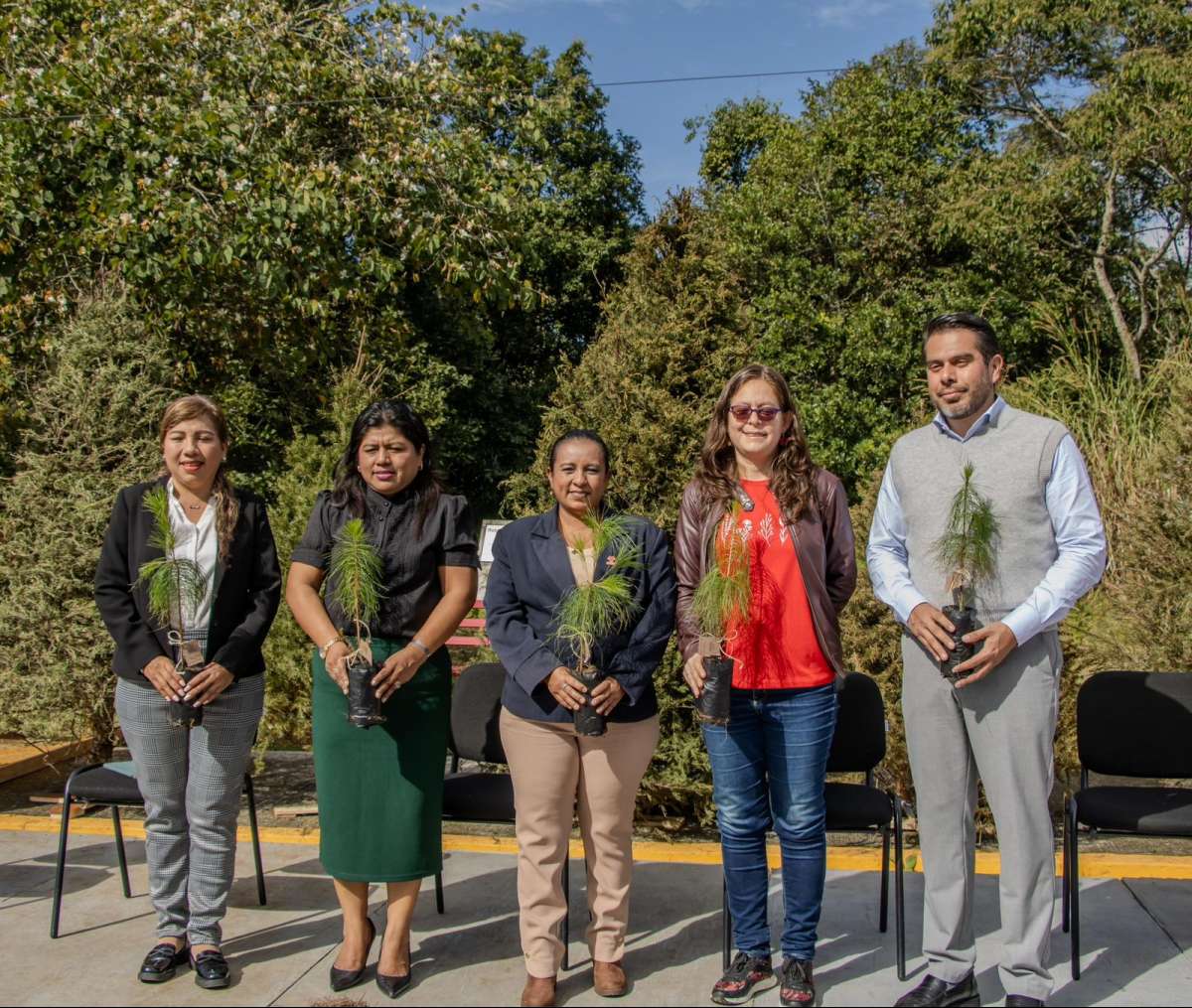 Eco Navidad buscará recolectar más de 12 mil árboles   