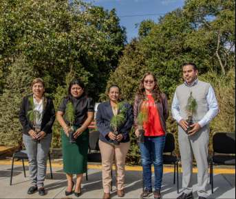 Eco Navidad buscará recolectar más de 12 mil árboles   
