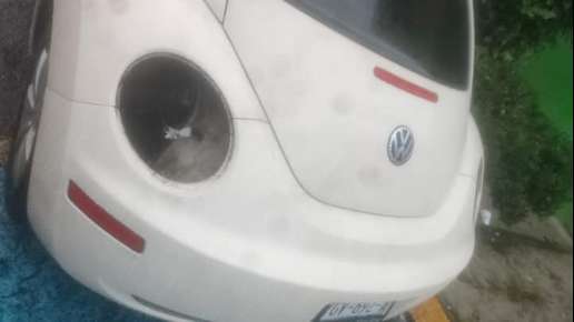 Alertan por robos de autopartes en colonia Álvaro Obregón de Xalapa