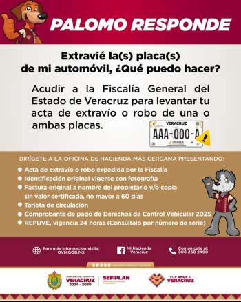 ¿Extraviaste o te robaron tus placas? Sefiplan te guía paso a paso