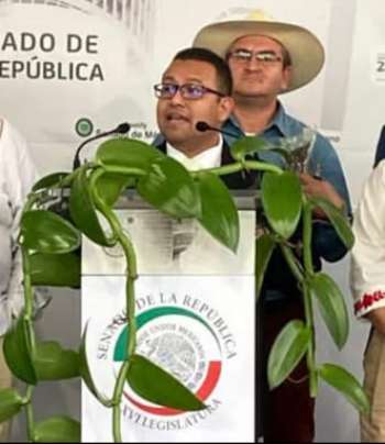 Del 11 al 20 de abril se realizará el Festival de la Orquídea en Coatepec
