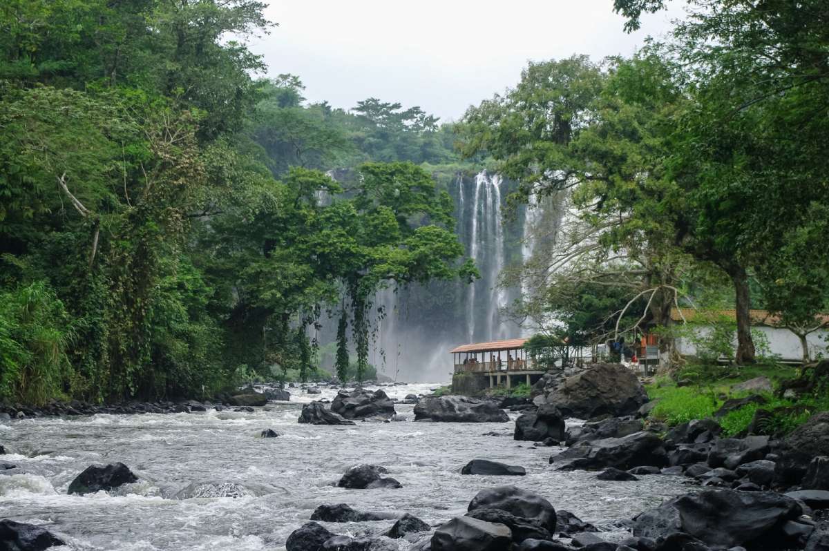 Un viaje inolvidable a Los Tuxtlas: biodiversidad, cultura y sabores auténticos