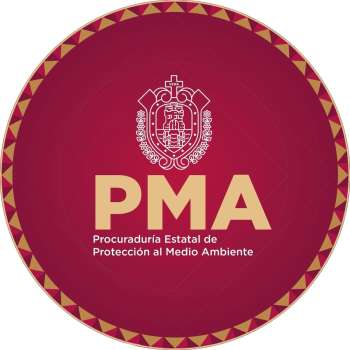 Confirma PMA deceso del tiburón tigre Benito