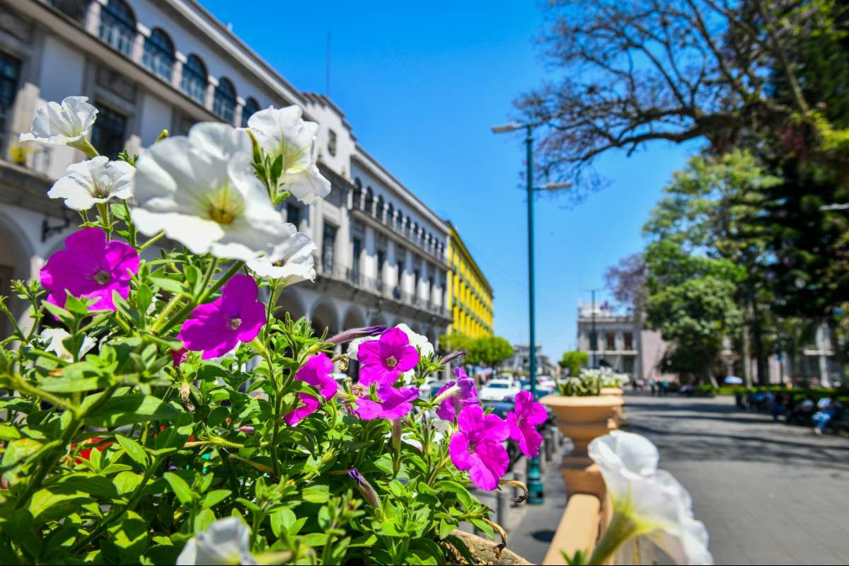 Emite PC Municipal Alertamiento Preventivo por Surada y Norte