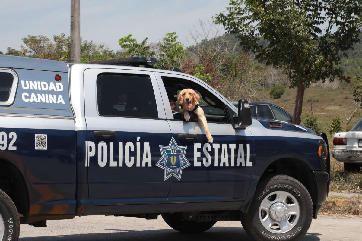 Listo, operativo de seguridad en Cumbre Tajín