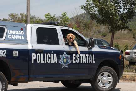 Listo, operativo de seguridad en Cumbre Tajín
