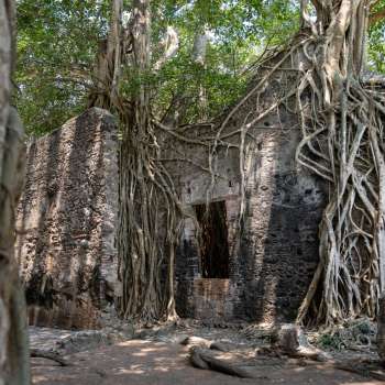 Descubre Veracruz a través de la Ruta Primeros Pasos de Cortés: historia, aventura y naturaleza