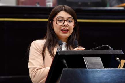 Aspirantes a cargos de elección deberán cumplir con obligaciones alimentarias