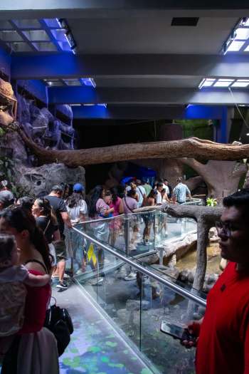 Récord de visitantes en Aquarium del Puerto de Veracruz durante Semana Santa