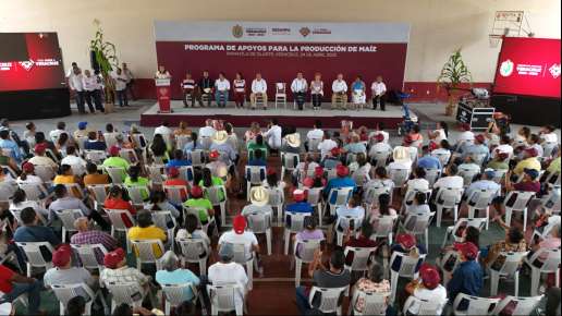 Anuncia Rocío Nahle precio de garantía de 7 mil pesos por tonelada de maíz   