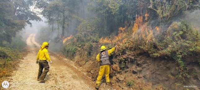 Gobierno de Veracruz mantiene control de cuatro incendios forestales   