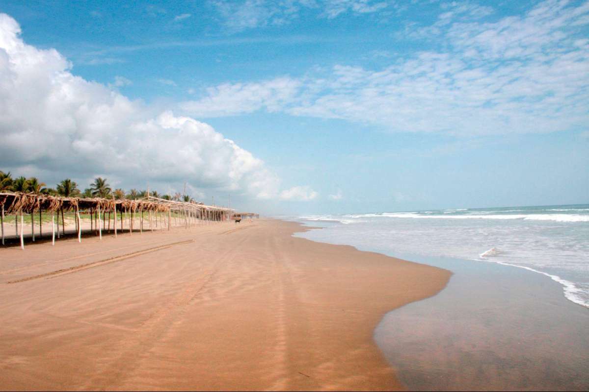 Tecolutla, paraíso tropical entre manglares, playa y sabor   