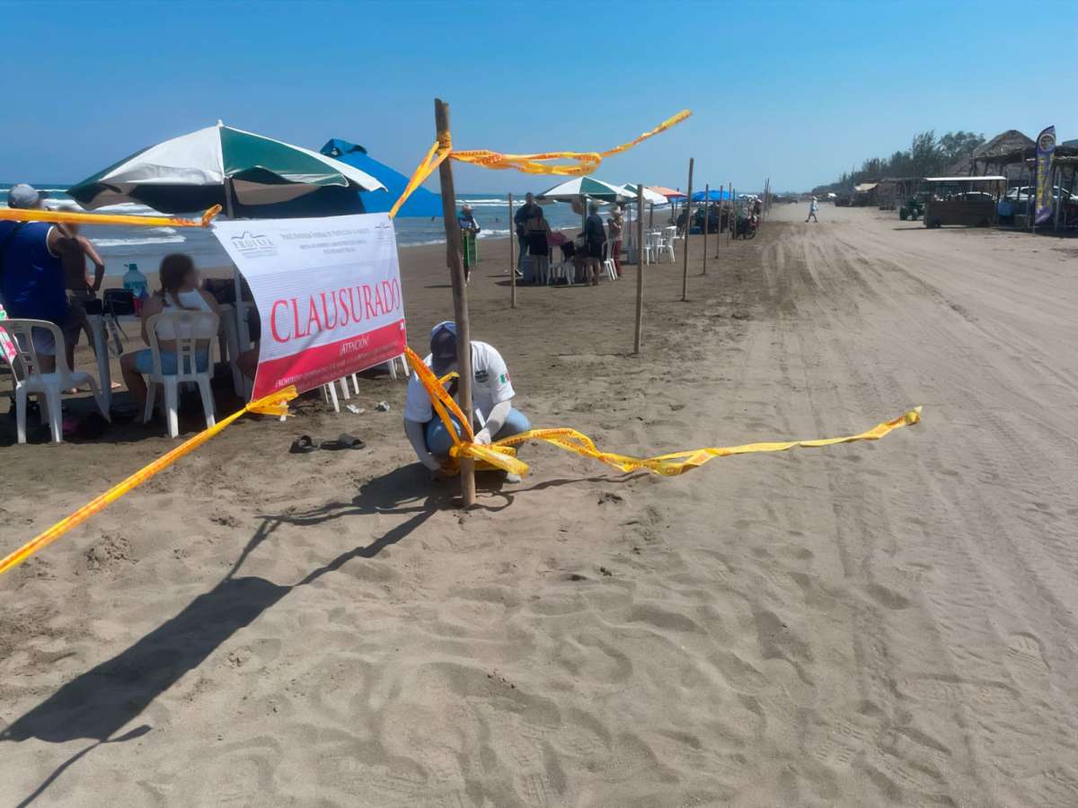Profepa clausura instalación de carriles para circulación vehicular en playa Chachalacas