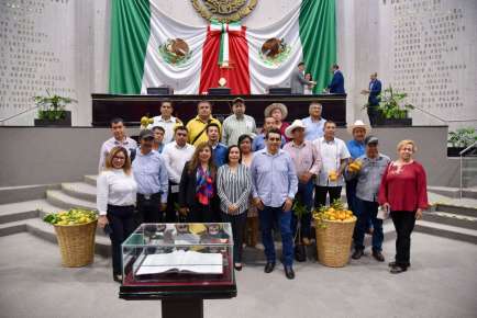Crea Congreso Comisión Especial que atenderá temas de citricultura