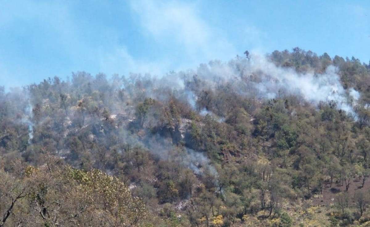 102 incendios forestales se registran en el estado de Veracruz, se ubica en el 10º lugar a nivel nacional