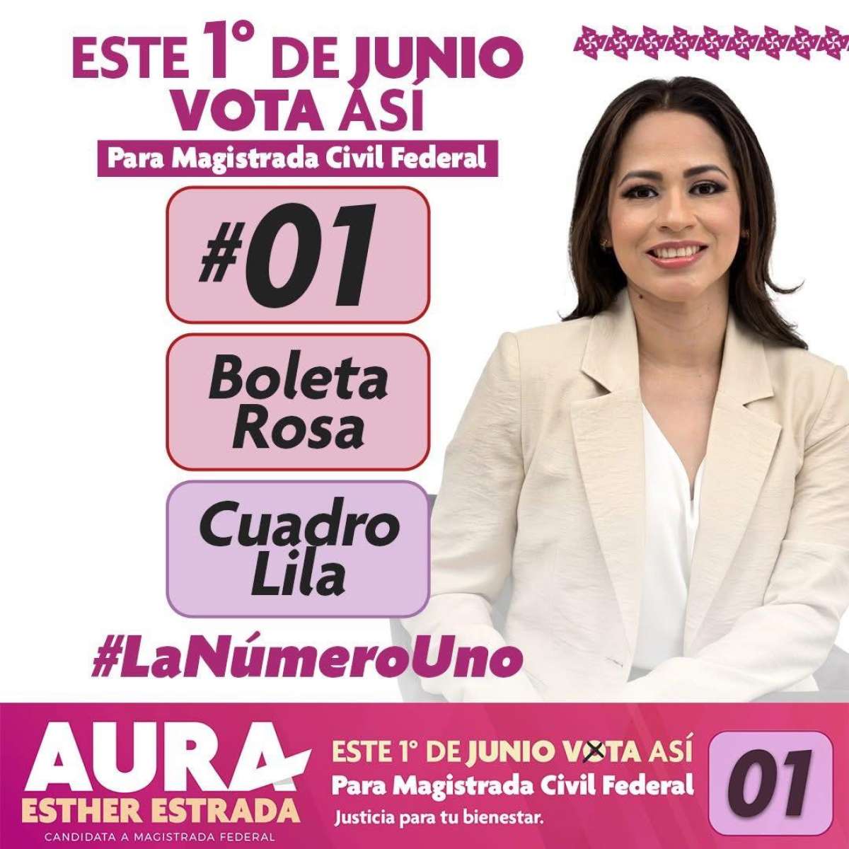 Vota por Estrada Hernández Aura Esther para Magistrada Civil Federal