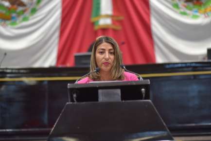 Verificar idoneidad de perfiles de aspirantes a jueces y magistrados, pide diputada   