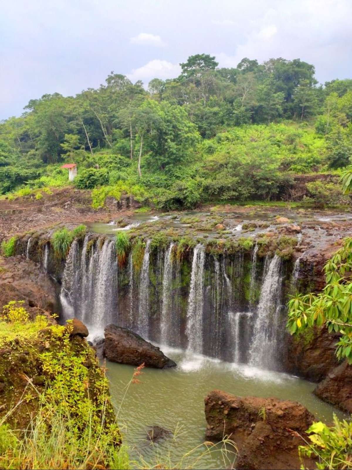 Acayucan, un encuentro con la naturaleza y tradición del sur veracruzano