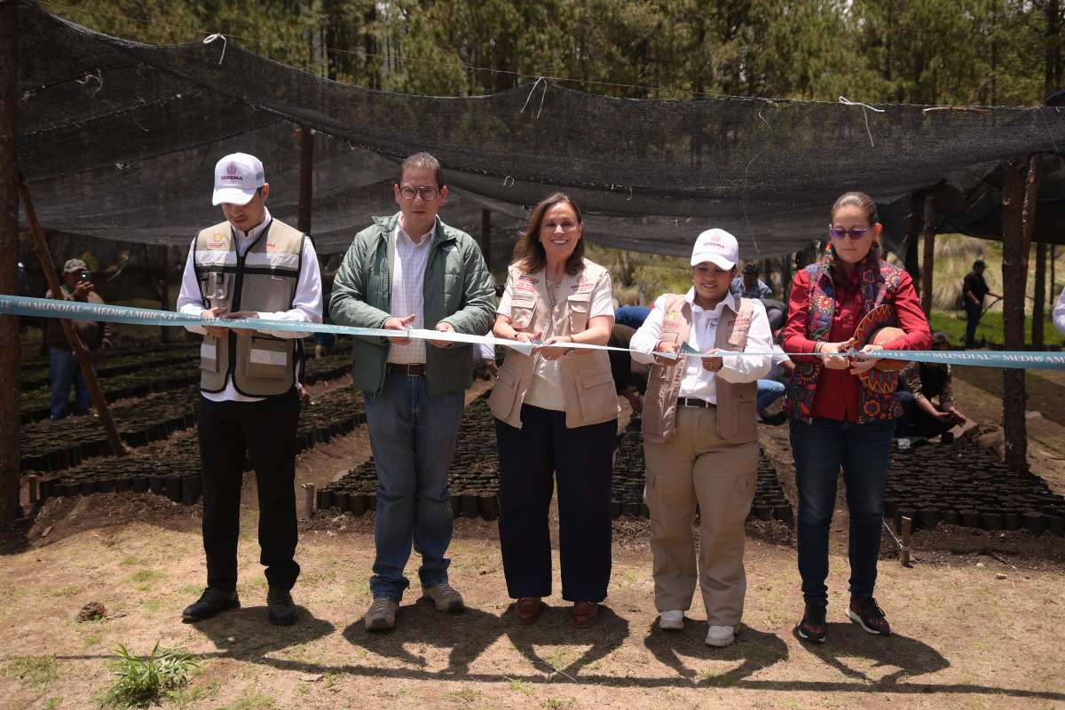 Gobernadora Rocío Nahle pone en marcha programa estatal Pulmones Verdes para 30 Áreas Naturales Protegidas