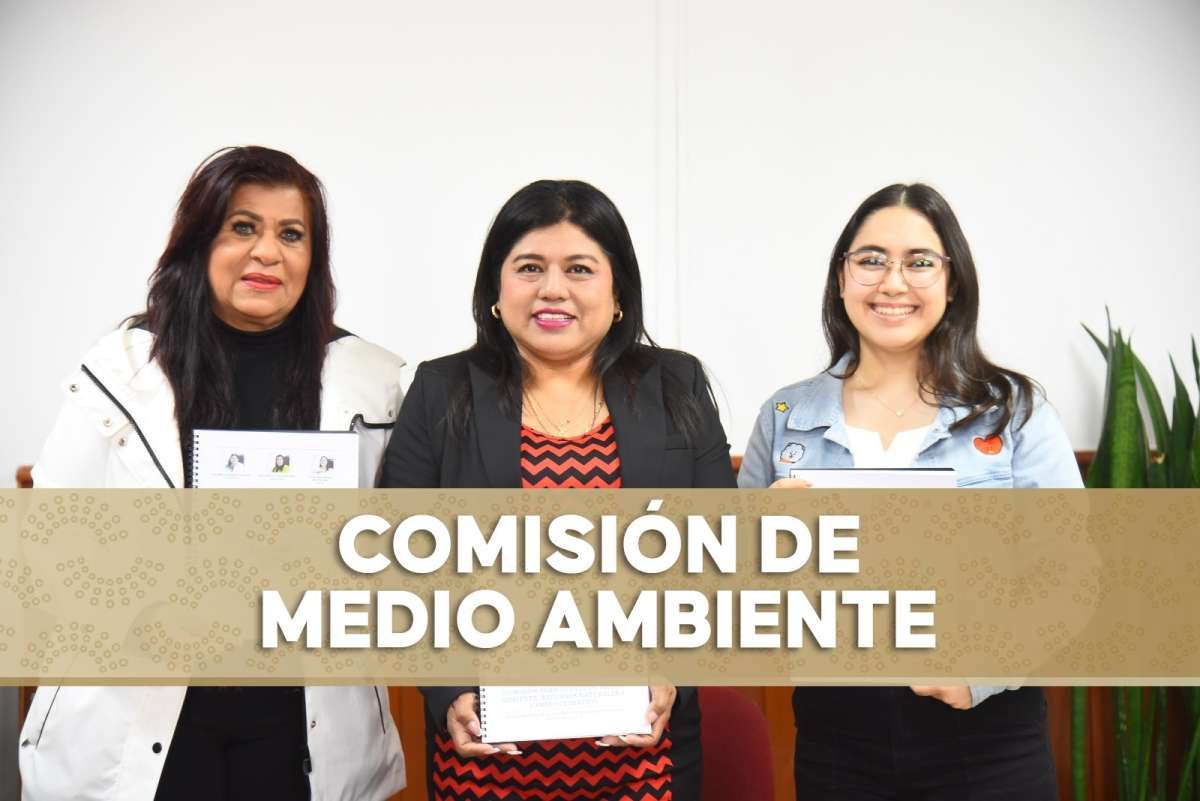 Abierta, convocatoria para otorgar el premio al Mérito Ambiental 2025   