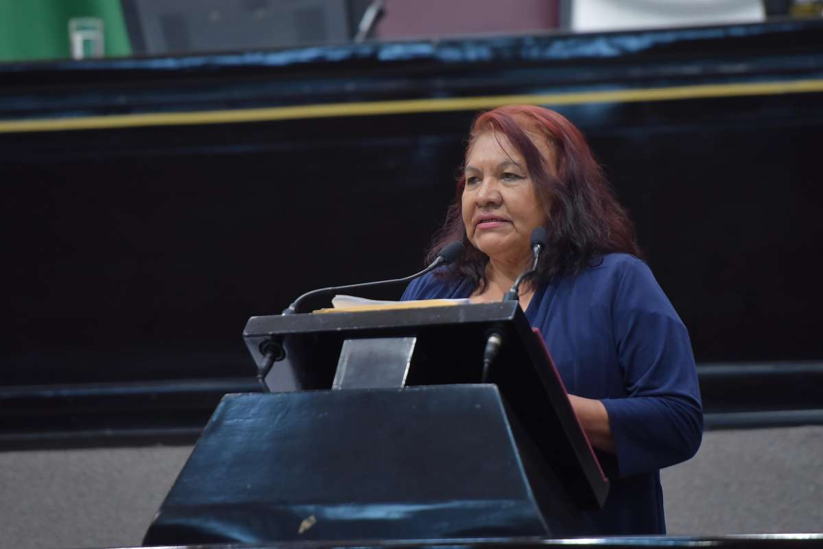 Respalda diputada de Veracruz postura de la presidenta Claudia Sheinbaum   