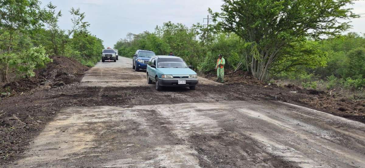 Restablece SICT la circulación en la carretera Alazán–Canoas, Veracruz, tras la atención a socavones   