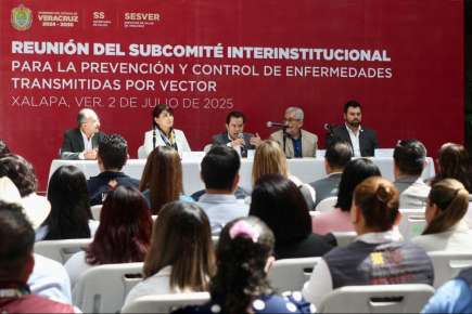 Casos de dengue en Veracruz bajan a menos de la mitad respecto al año pasado