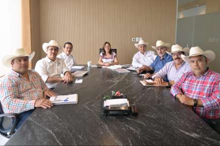 Rocío Nahle intensifica vigilancia y frena movilización de ganado sin control   