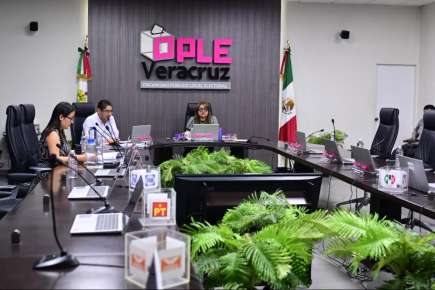 Consejo General del OPLE Veracruz resuelve distintos Procedimientos de Remoción del PELO 2024-2025