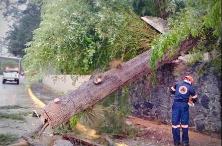 Ayuntamiento de Xalapa, en alerta por lluvias