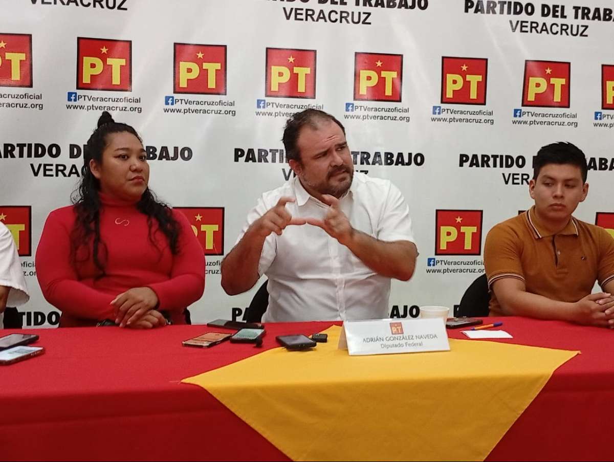 Bancada petista federal propondrá reformas más severas contra tala ilegal, para inhibir esta práctica