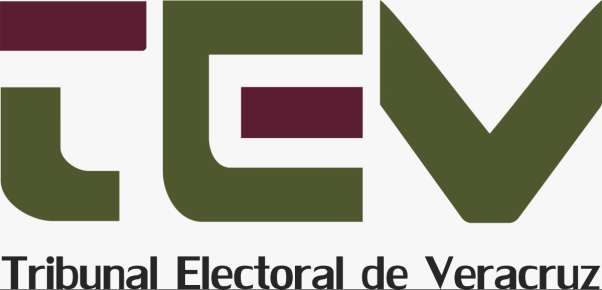 Confirma el TEV que magistrada electa Rosalba Hernández será la presidente del Poder Judicial del estado de Veracruz