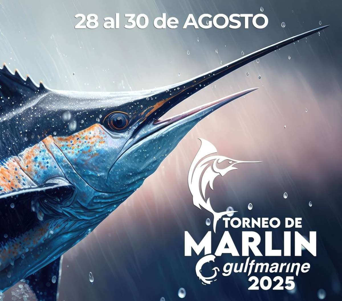 Genera gran expectativa el Torneo Internacional de Marlín gulfmarine 2025