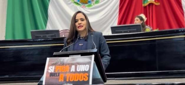 Diputada Elena Córdova exhorta a reforzar acciones contra el dengue en Veracruz