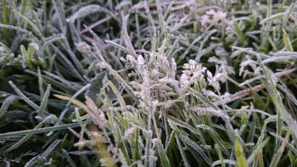 Se registra este lunes segunda helada en Las Vigas