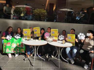 Anuncian la Pasarela Más Perrona del Año para promover adopciones responsables de mascotas