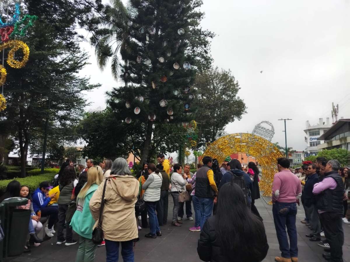 Familiares de desaparecidos colocan Árbol de la Esperanza en Parque Juárez en Xalapa para visibilizar este problema social de Veracruz