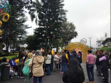Familiares de desaparecidos colocan Árbol de la Esperanza en Parque Juárez en Xalapa para visibilizar este problema social de Veracruz