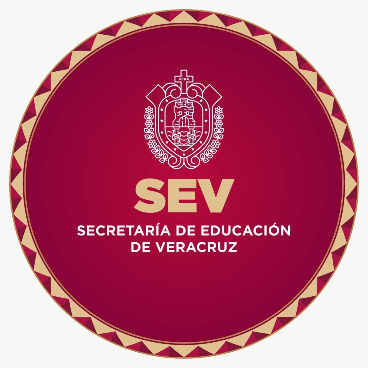 Invitan SEV e IVEA a docentes a participar como alfabetizadores   