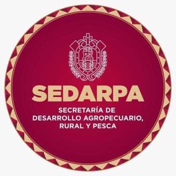 Abrirá en abril registro para proyecto de Inseminación Artificial en Veracruz   