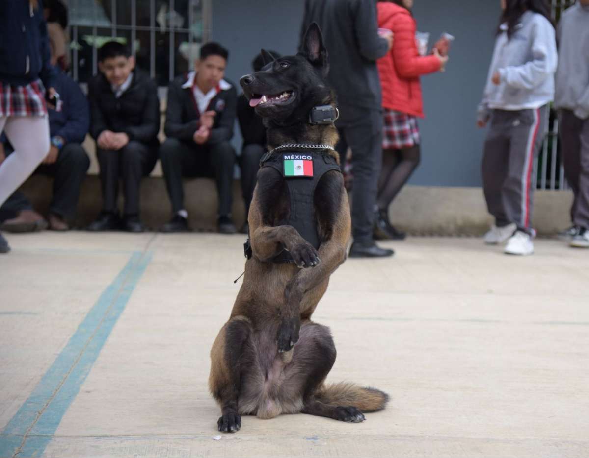 Seguridad Ciudadana llevó al TEBAEV jornada de Prevención de Adicciones