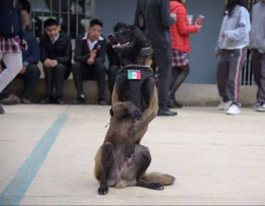 Seguridad Ciudadana llevó al TEBAEV jornada de Prevención de Adicciones