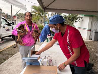 Por el bienestar animal, Ayuntamiento reactiva quirófano móvil para esterilizaciones