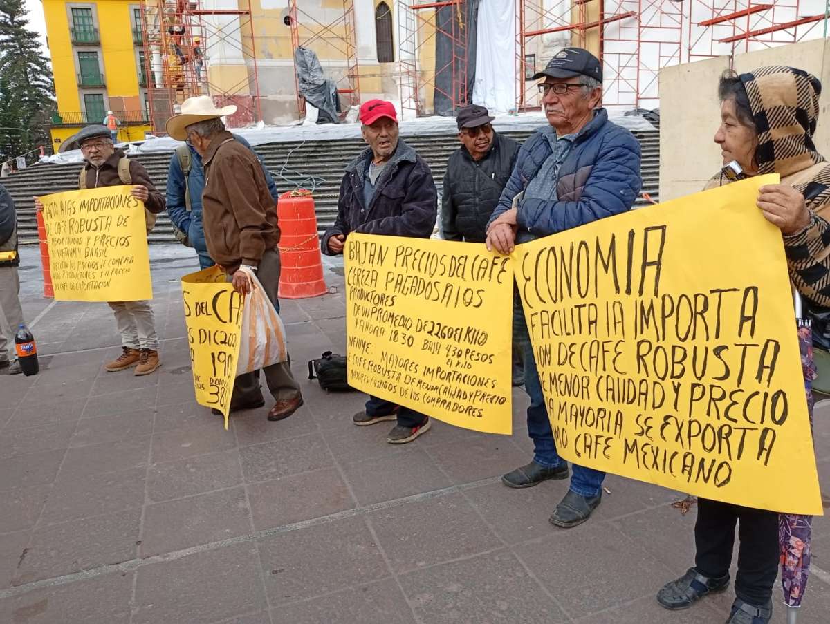 Excesiva importación de café robusta de mala calidad de Vietnam y Brasil afecta producción nacional