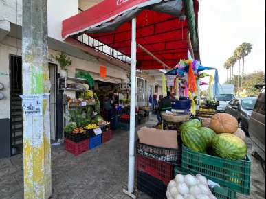 Ayuntamiento de Banderilla inicia proceso de reordenación del comercio forma en informal