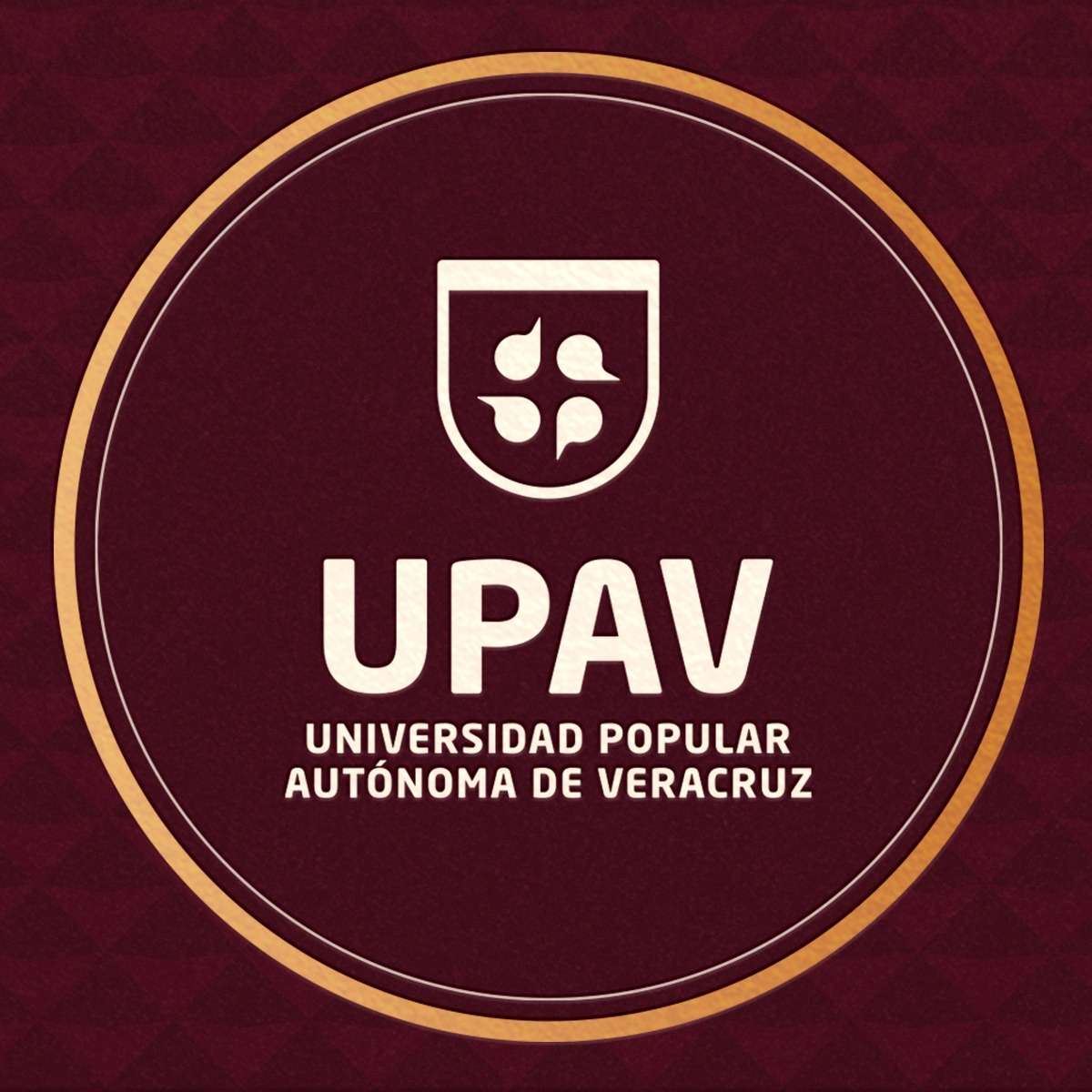 Abre UPAV sedes regionales para integración de expedientes de docentes y directivos   