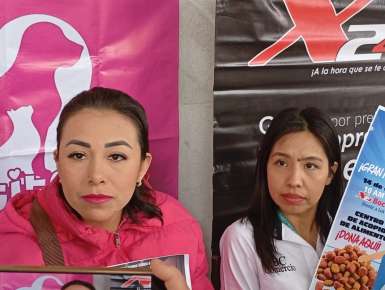 Se incrementan solicitudes de esterilización de caninos y apoyo otorgado por ayuntamiento es insuficiente