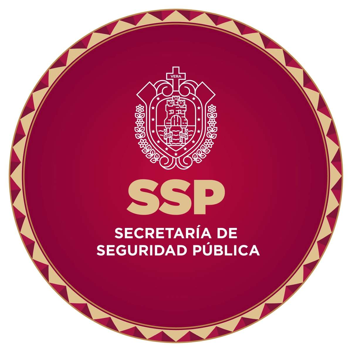 Acciones contundentes ante situaciones de seguridad en Veracruz: SSP